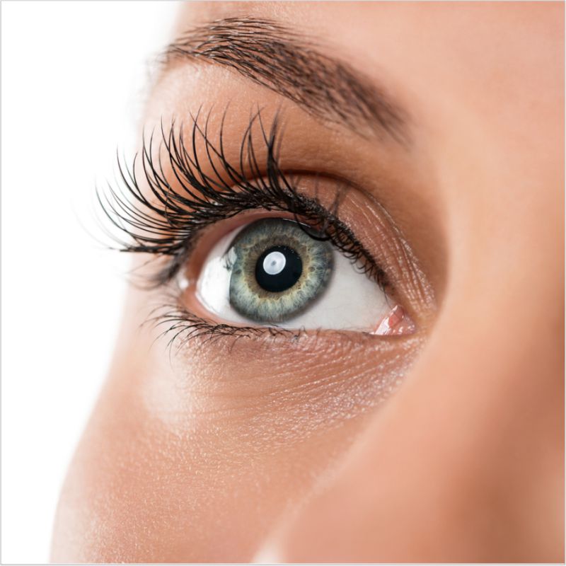 Teinture des sourcils et des cils